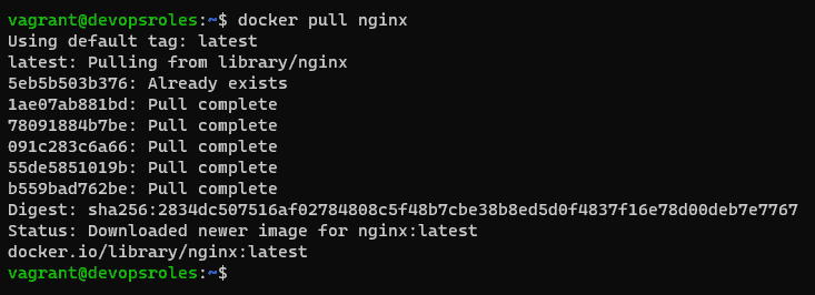 docker pull nginx