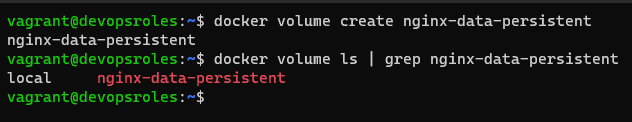 docker create volume