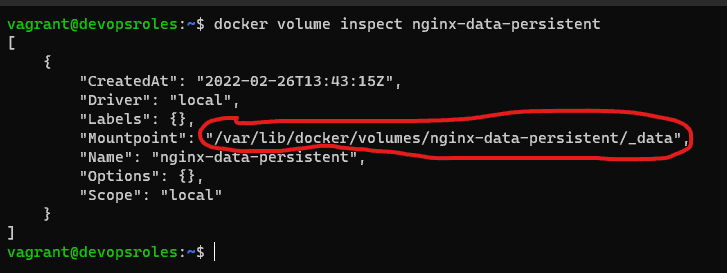 docker volume inspect