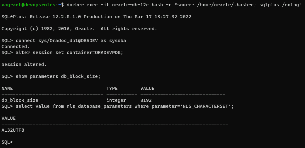 Docker install oracle 12c query