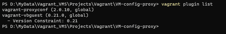 Install Vagrant Plugin vagrant-proxyconf
