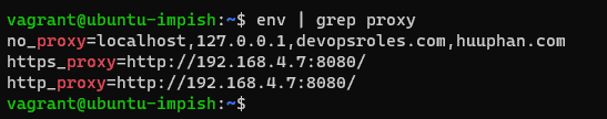 Vagrant proxy configuration