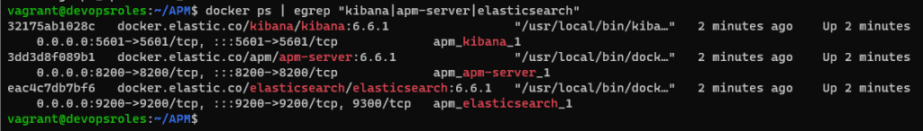 Elastic APM Tool for Application Performance Monitoring output