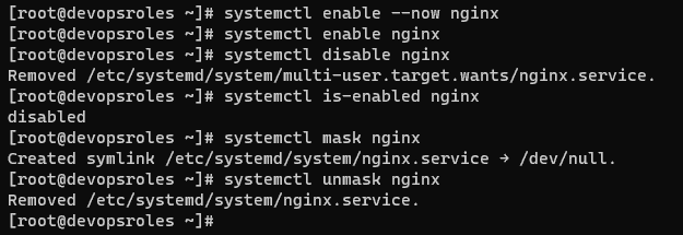 stop service nginx