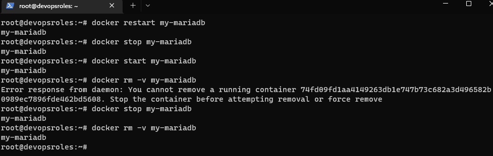 Install MariaDB via Docker