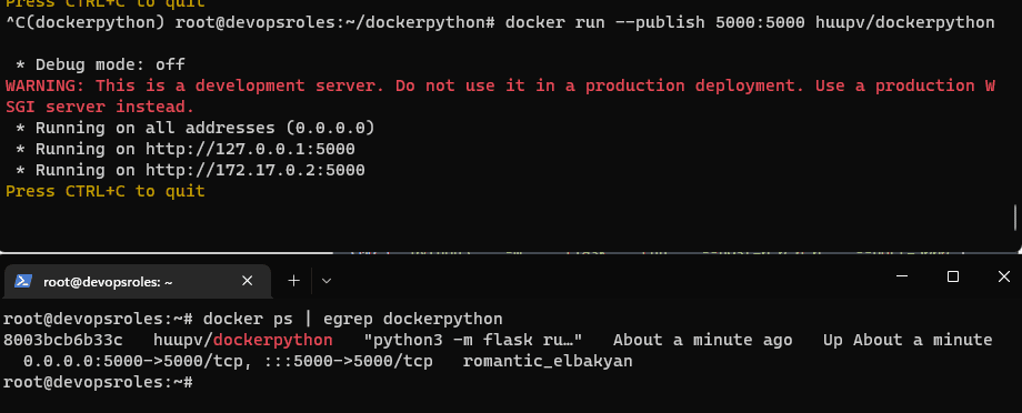 Python Docker