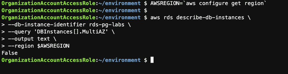 manage the RDS PostgreSQL instance using the AWS CLI