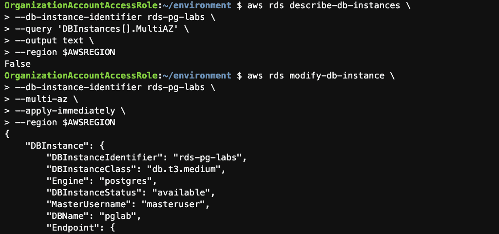 manage the RDS PostgreSQL instance using the AWS CLI