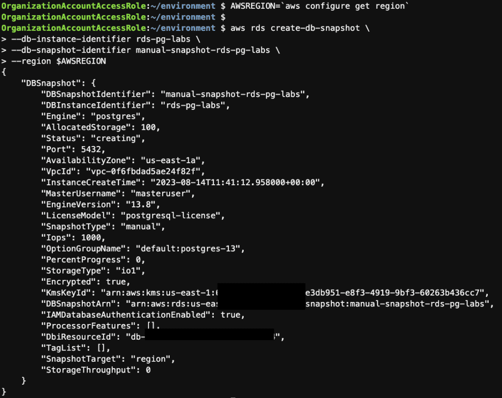 Take a manual snapshot of the RDS instance using the AWS CLI