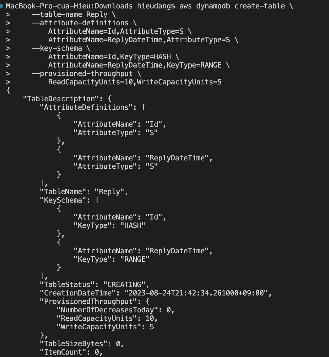 Manage the DynamoDB table with AWS CLI