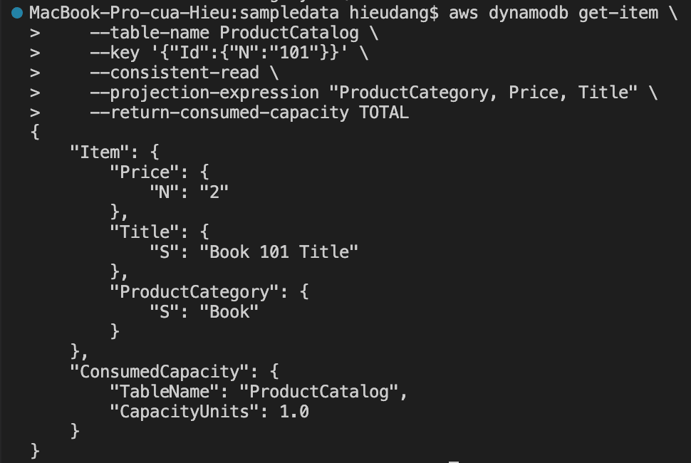 Read data from a DynamoDB table with CLI command