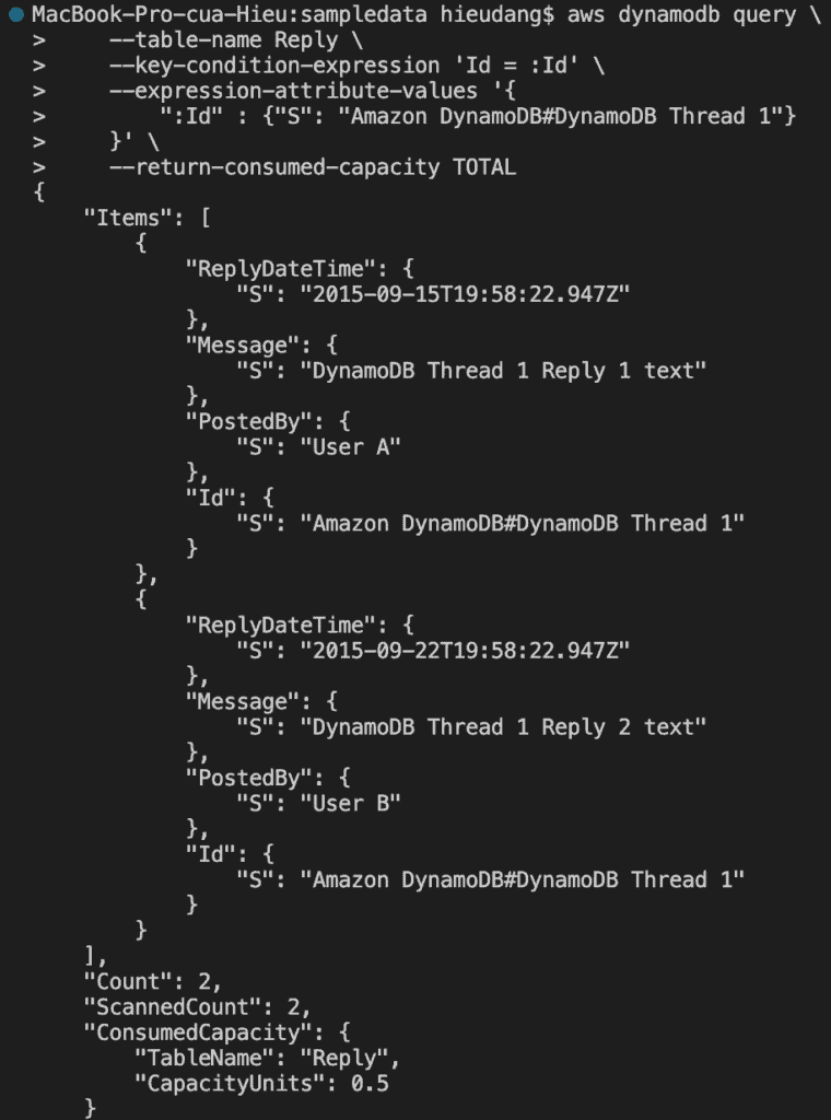 DynamoDB table Query CLI command