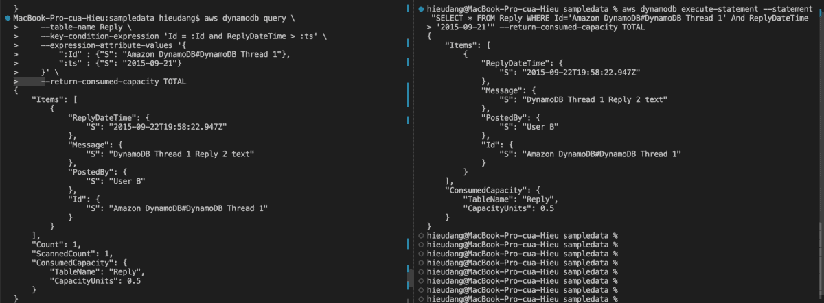 DynamoDB table Query CLI command