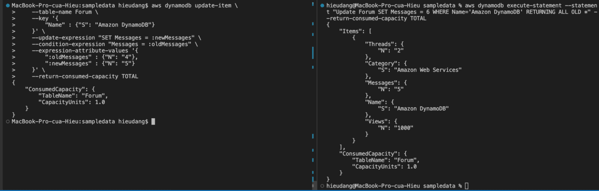 Update data to DynamoDB table with CLI command