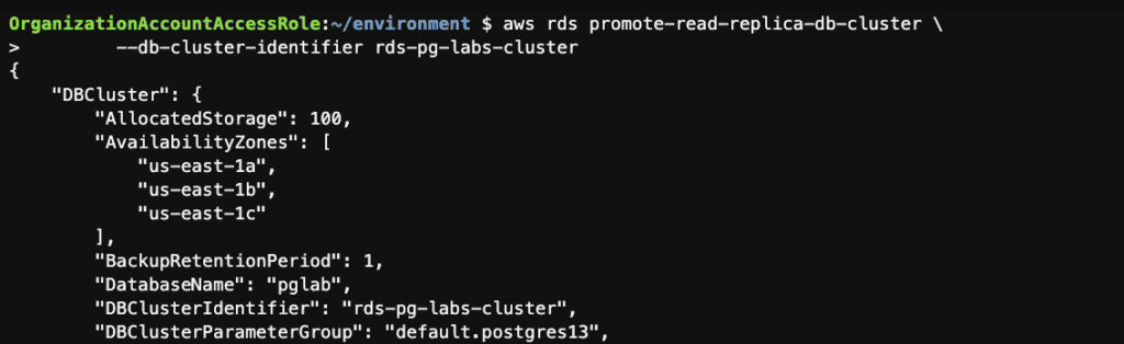 manage the RDS PostgreSQL instance using the AWS CLI