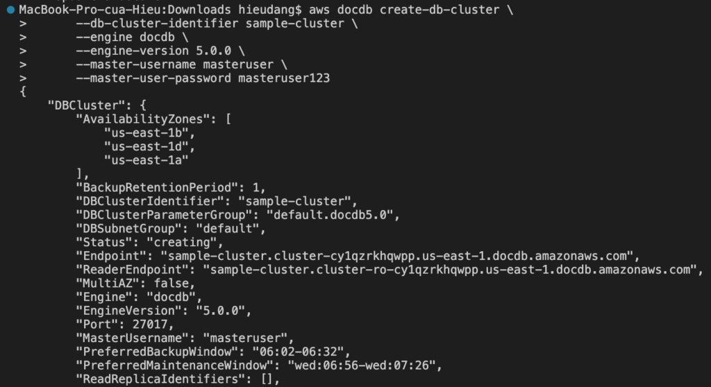 Create an Amazon DocumentDB cluster using AWS CLI