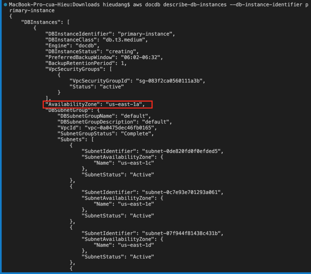 AWS CLI command lists the details for Amazon DocumentDB instances 