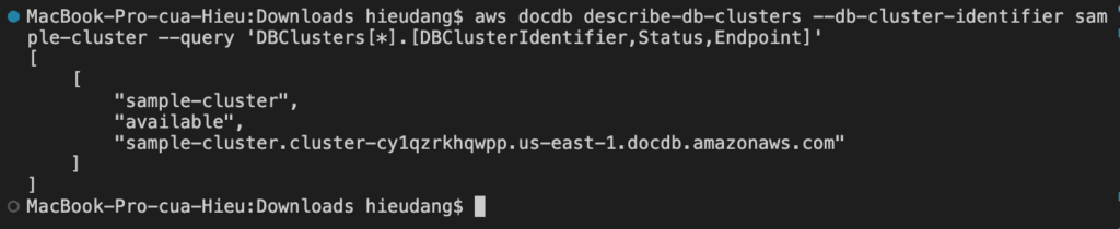 Describing Clusters and Instances using AWS CLI
